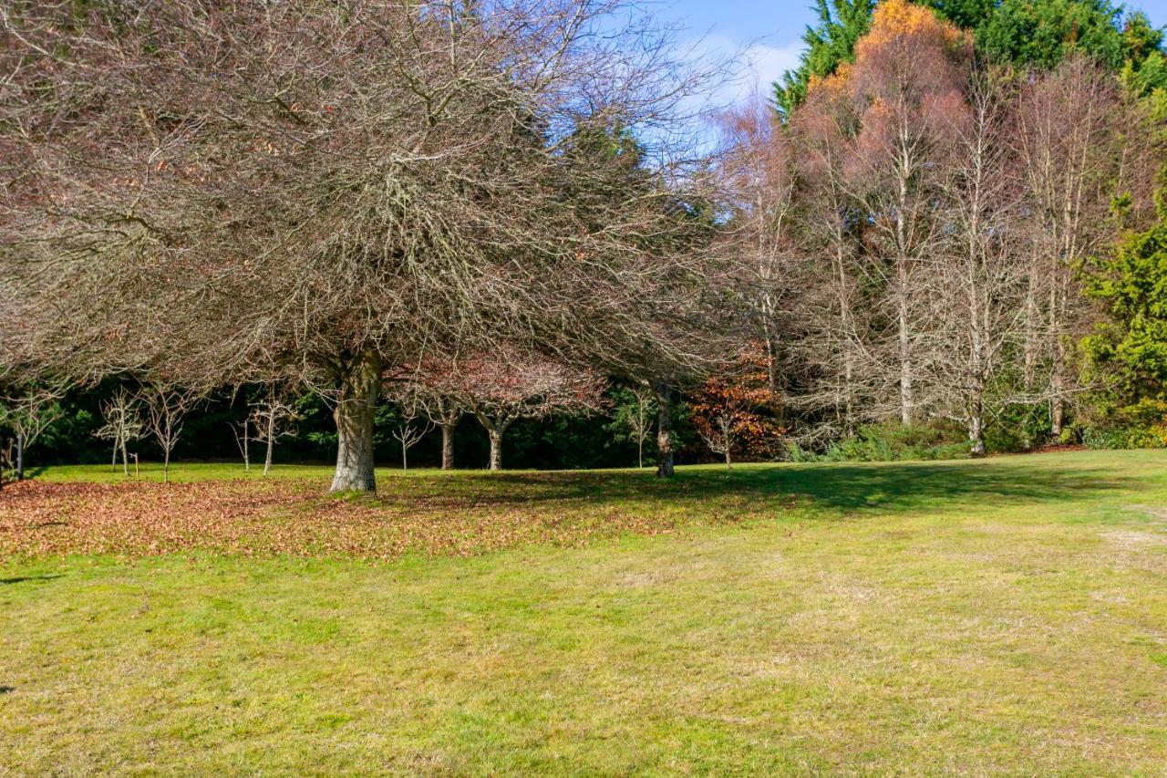 Lupin Lodge Bed & Breakfast Taupo Exterior photo